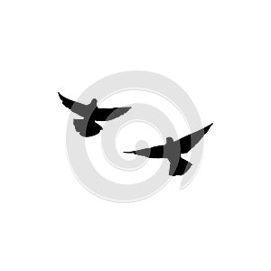 Couple of doves symbol of freedom and hope. Silhouette of pigeons fly on white background. Vector illustration