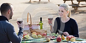 couple drinking wine and talking on picnic