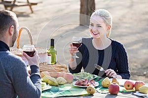 Couple drinking wine and talking on picnic