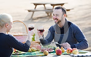 Couple drinking wine and talking on picnic