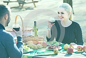 Couple drinking wine and talking on picnic