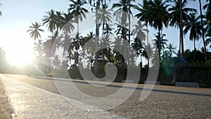 Couple drive motorbike on tropical sunny road between the palm trees. slow motion. 1920x1080