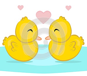 Couple of duck vector