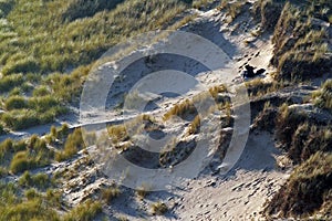 Couple in the dunes