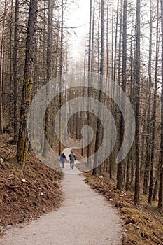 A couple enjoy enjoy a monring walk in the woods