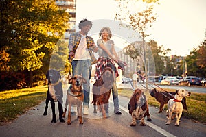 Couple enjoying in walk with dogs