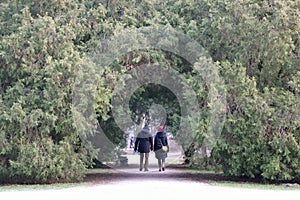 Couple entering to forest