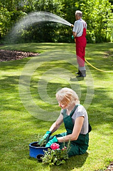 Couple during everyday duties in garden photo