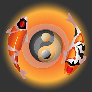 Two fancy carp with ying yang symbol