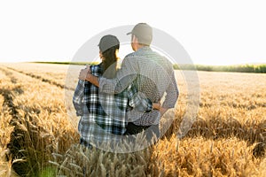 A couple of farmers in plaid shirts and caps stand embracing on agricultural field of wheat at sunset.