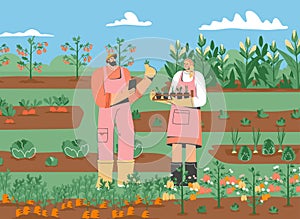 Couple of farmers standing in vegetable garden
