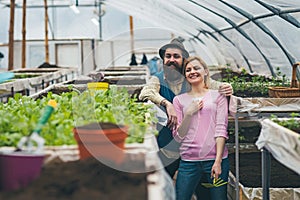 Couple of farmers working in greenhouse. Hipster man hugging wife woman on farm.