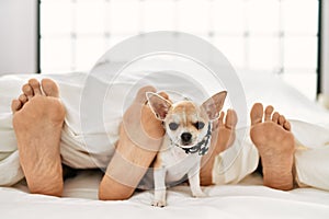 Couple feet and dog on bed