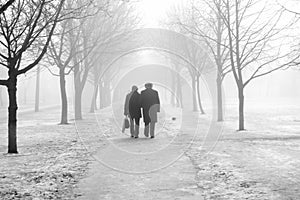 Couple in the fog