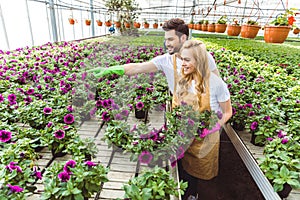 Couple of gardeners arranging pots with flowers