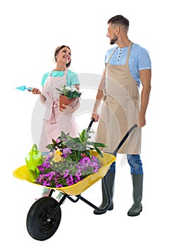 Couple of gardeners with  and plants on white background