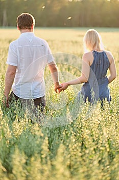 The couple go on a field at sunset holding hands, green tall grass