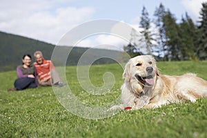 Couple With Golden Retriever On Grass