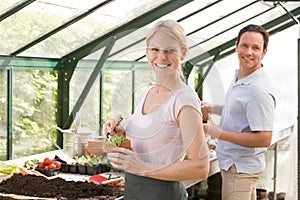 Couple in greenhouse raking soil in pots smiling