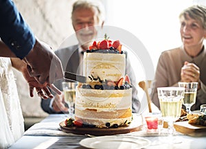 Couple Hands Cutting Wedding Cake