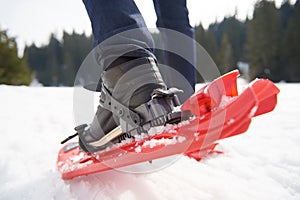 Couple having fun and walking in snow shoes