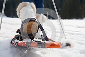 Couple having fun and walking in snow shoes