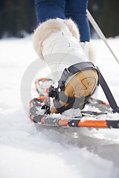 Couple having fun and walking in snow shoes