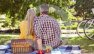 Couple having picnic in the park