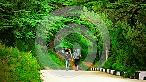 Couple of Hiker Tourists walking on road in beautiful Pine-tree forest Park