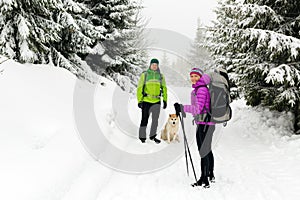 Couple hikers hiking in winter woods