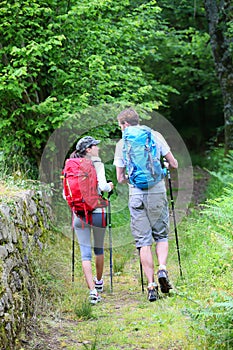 Couple of hikers walking in forest path