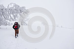 Couple hiking along a snowy trail in the wintertime