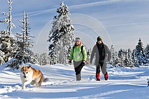 Couple hiking with dog in winter mountains photo