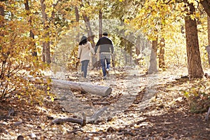 Couple hiking in a forest holding hands, distant back view