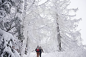 Couple hiking through a snow covered forest in wintertime