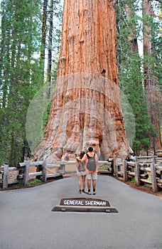 Couple on hiking trip in sequoia forest.