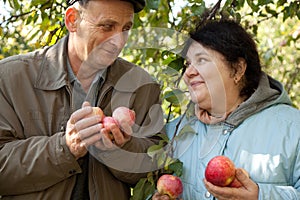 Couple hold apples and look against each other