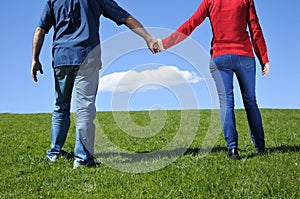 Couple hold hands and walks on a green grass to the horizon