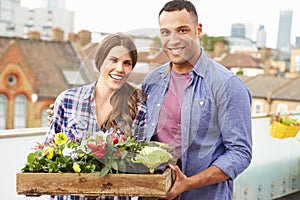 Couple Holding Box Of Plants On Rooftop Garden