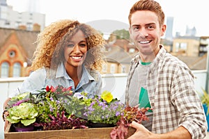 Couple Holding Box Of Plants On Rooftop Garden