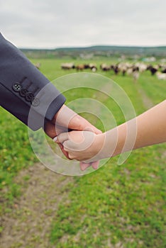 couple holding hands