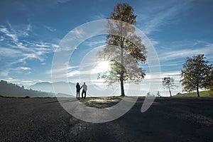 Couple Holding Hands in Nature Silhouette