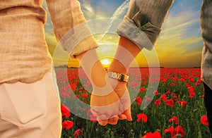 couple holding hands at sunset in poppies meadow