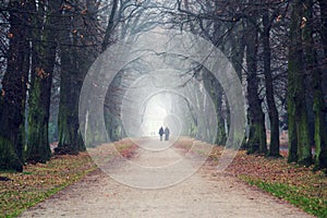 Couple holding hands walking in beautiful romantic autumn alley, cloudy foggy day, partner issues psychology relationship concept