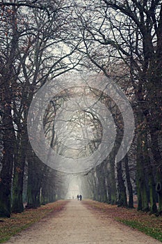 Couple holding hands walking in beautiful romantic autumn alley, cloudy foggy day, partner issues psychology relationship concept