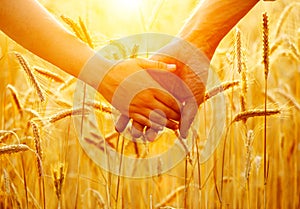 Couple holding hands and walking on golden wheat field