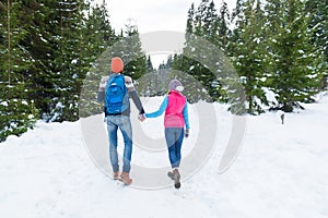 Couple Holding Hands Walking Snow Forest Outdoor Winter Back Rear View