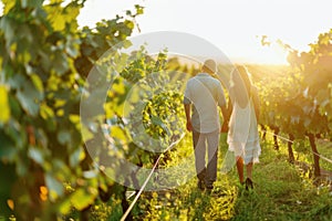 Couple holding hands walking through vineyard at sunset