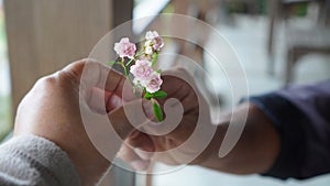 Couple holding pink small roses in hands. Person giving rose flowers. Romantic relationship. Kindness, take and give concept.