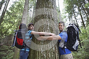 Couple Hugging Tree In Forest